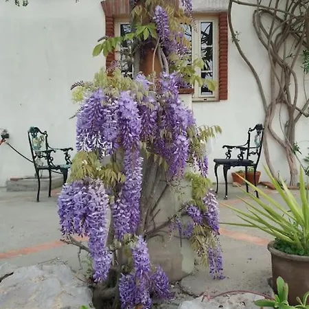 Вилла Quinta Boavista Boavista (Tavira)